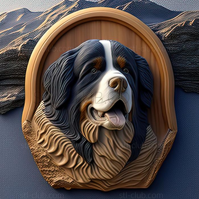 3D model st Bernese Mountain dog (STL)